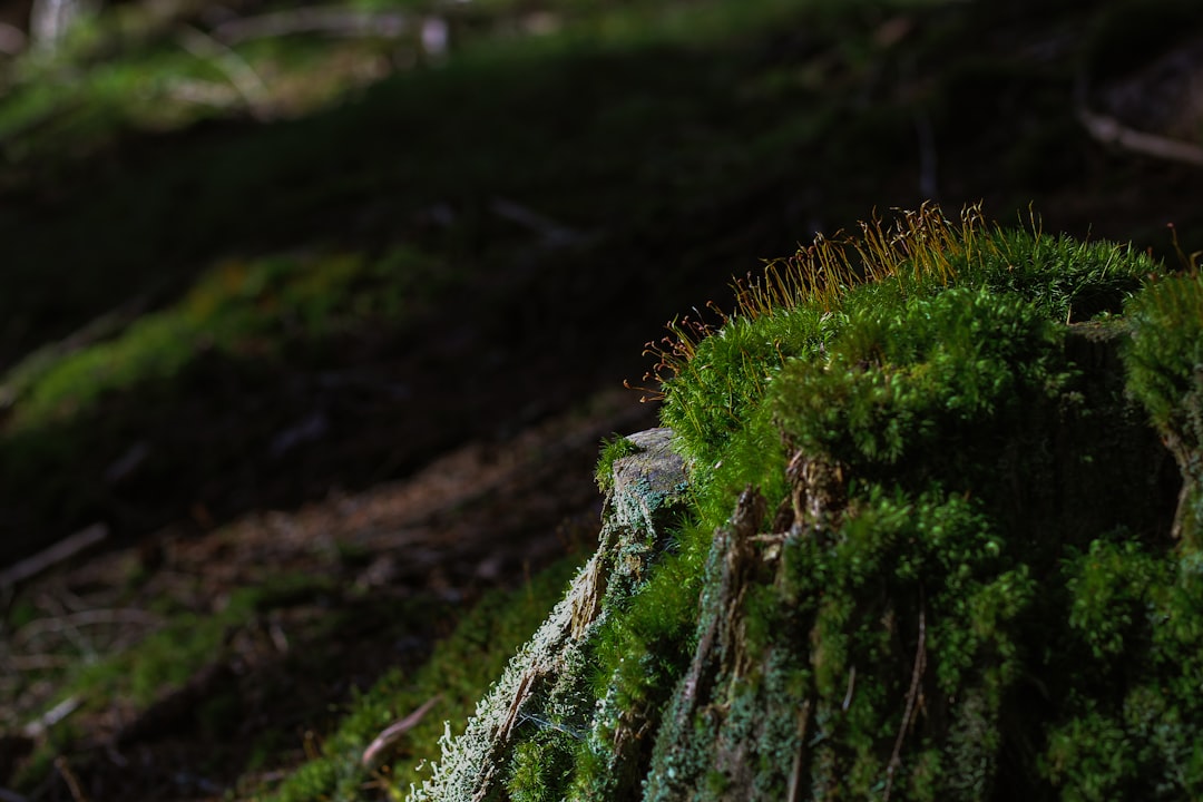 Unlocking the Joys of Outdoor Adventure: A Guide to Thriving in Nature